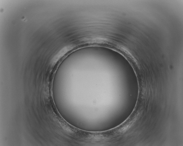 X0000063470978200601271625