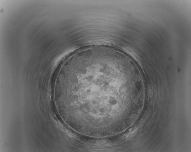 X0000063470979200601271625