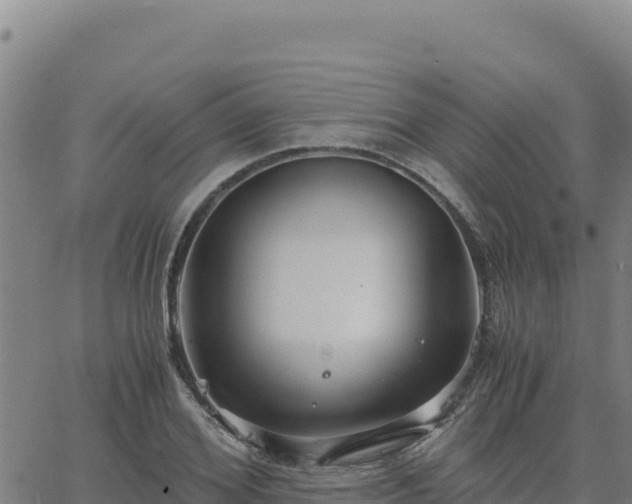 X0000063470980200601271625