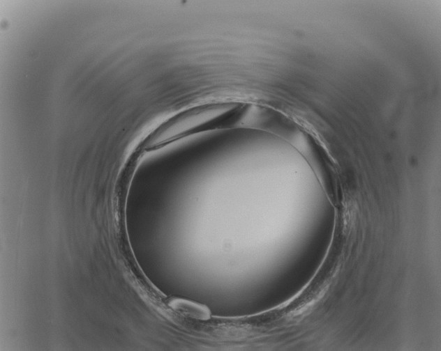 X0000063470981200601271625