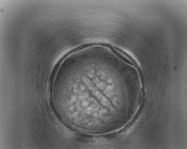 X0000063470983200601271625