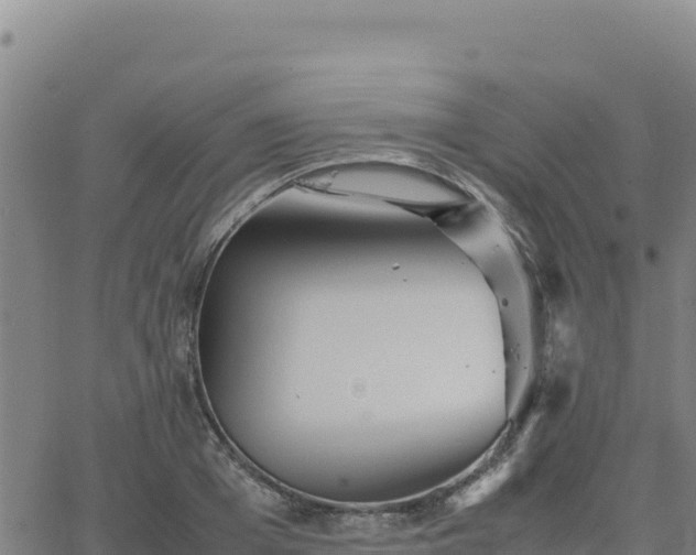 X0000063470985200601271625