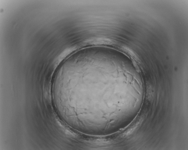 X0000063470986200601271625