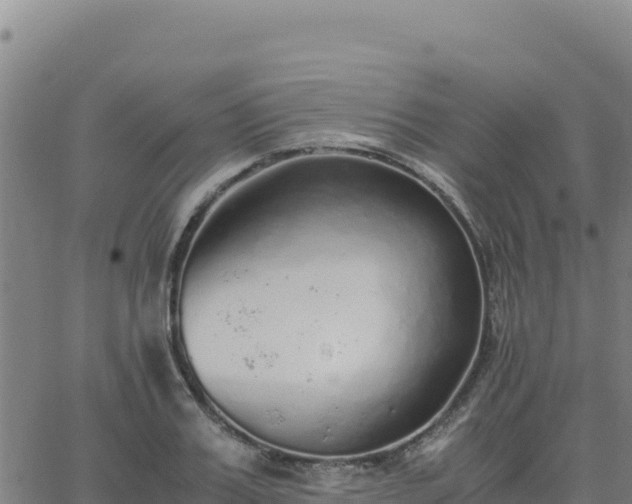 X0000063470987200601271625