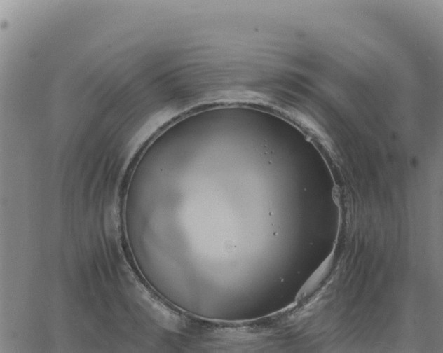 X0000063470990200601271625