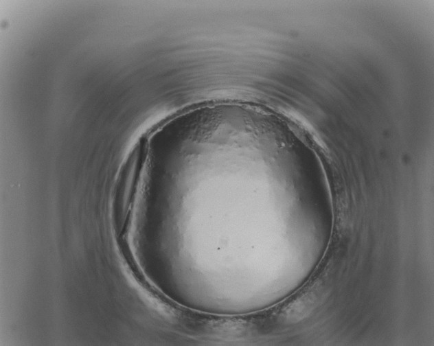 X0000063470991200601271625