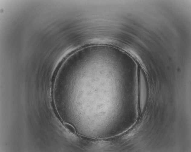 X0000063470992200601271625