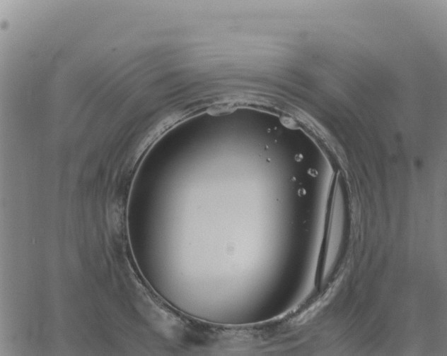 X0000063470993200601271625