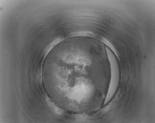 X0000063470994200601271625