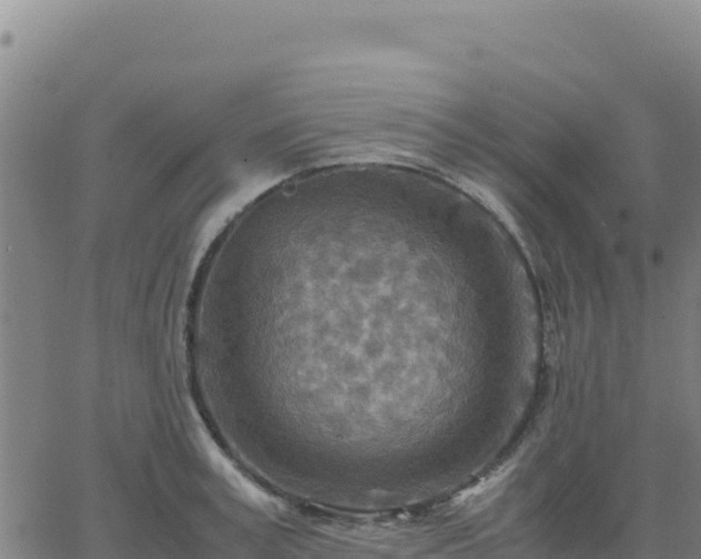 X0000063470995200601271625