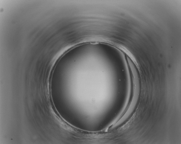 X0000063470996200601271625