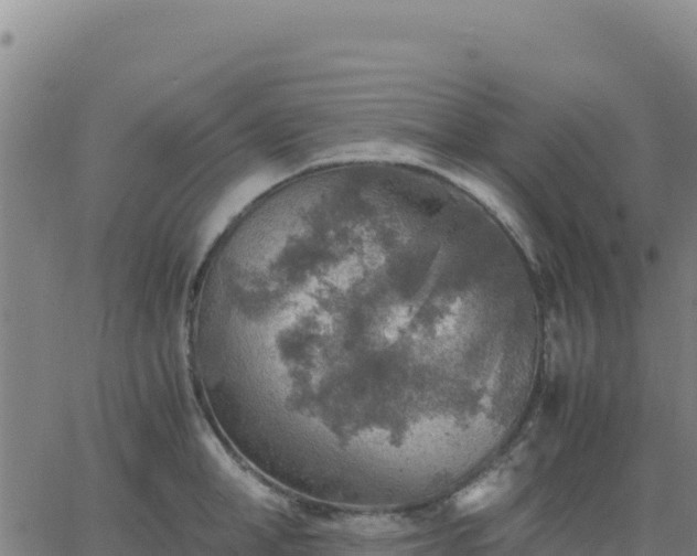 X0000063470998200601271625