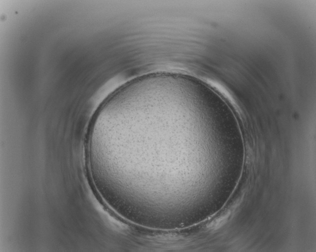 X0000063470999200601271625