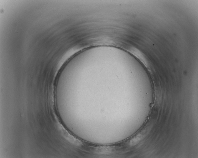 X0000063471000200601271625