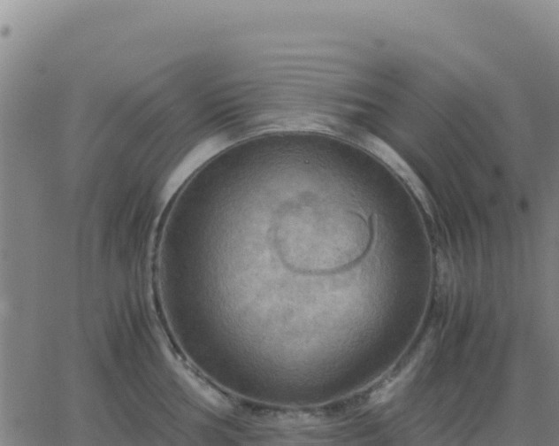 X0000063471002200601271625