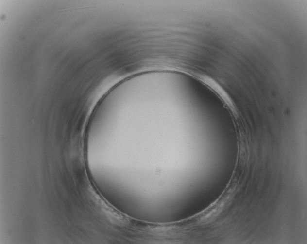 X0000063471004200601271625