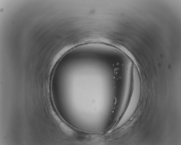 X0000063471005200601271625