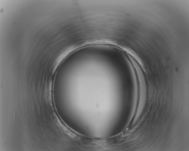 X0000063471006200601271625