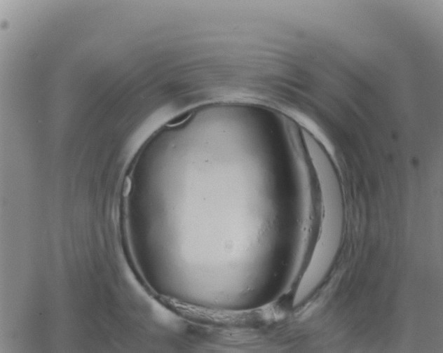 X0000063471007200601271625