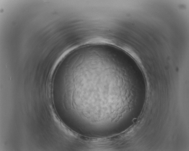 X0000063471008200601271625