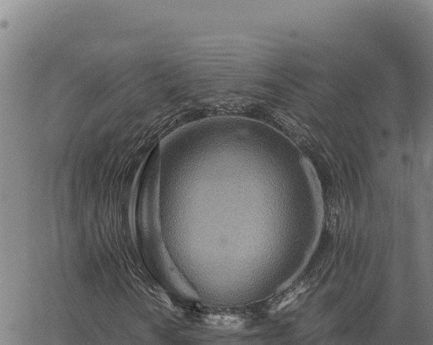 X0000063471010200601271624