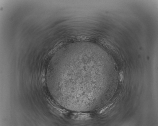 X0000063471011200601271624