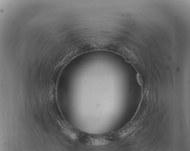 X0000063471012200601271624