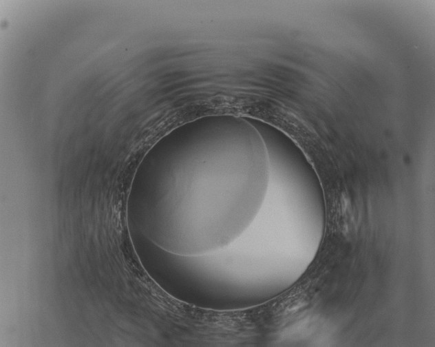 X0000063471013200601271624