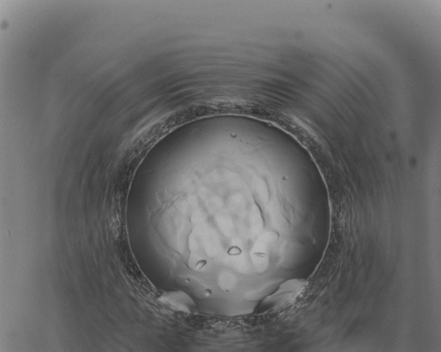 X0000063471015200601271624