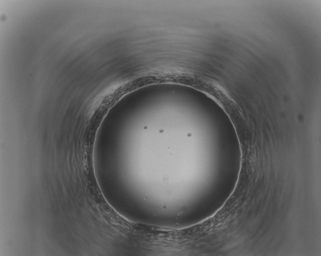 X0000063471016200601271624