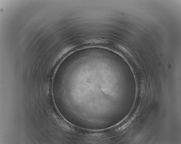 X0000063471017200601271624