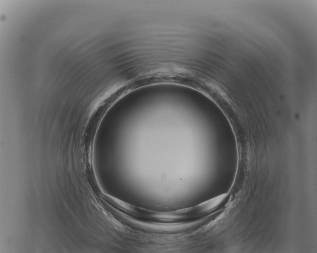 X0000063471018200601271624