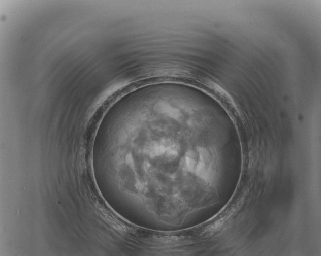 X0000063471019200601271624