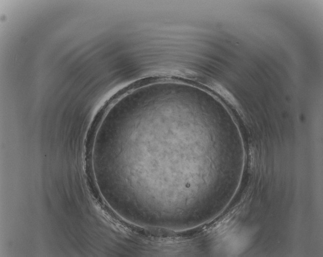 X0000063471020200601271624