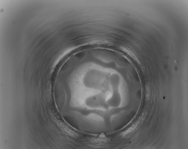 X0000063471021200601271624