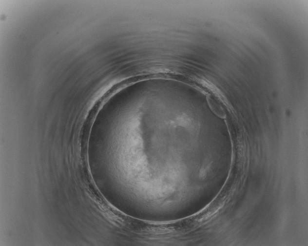 X0000063471023200601271624