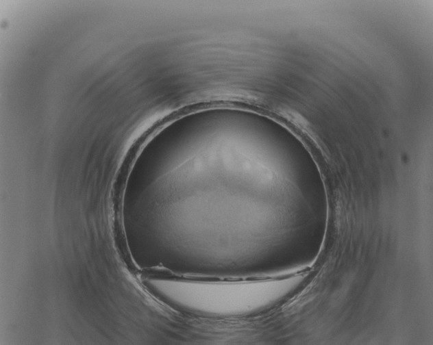 X0000063471024200601271624