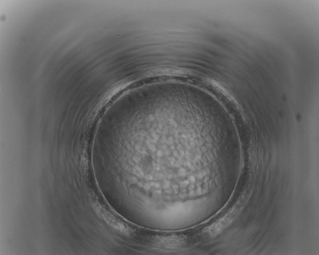 X0000063471025200601271624