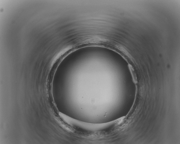 X0000063471026200601271624