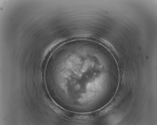 X0000063471027200601271624