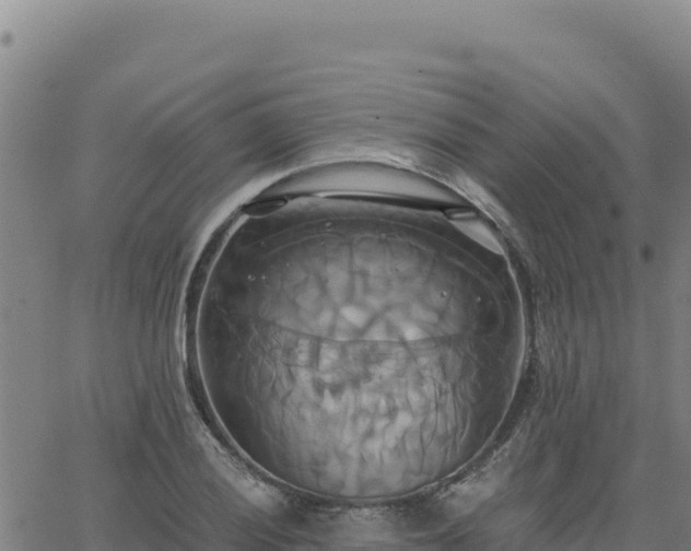 X0000063471028200601271624