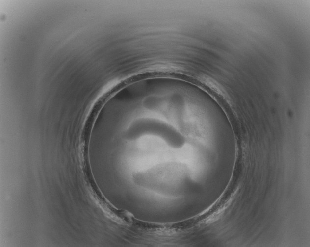 X0000063471029200601271624