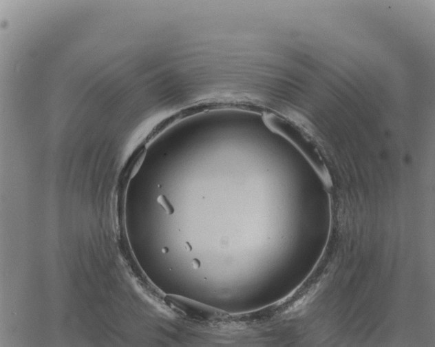 X0000063471030200601271624