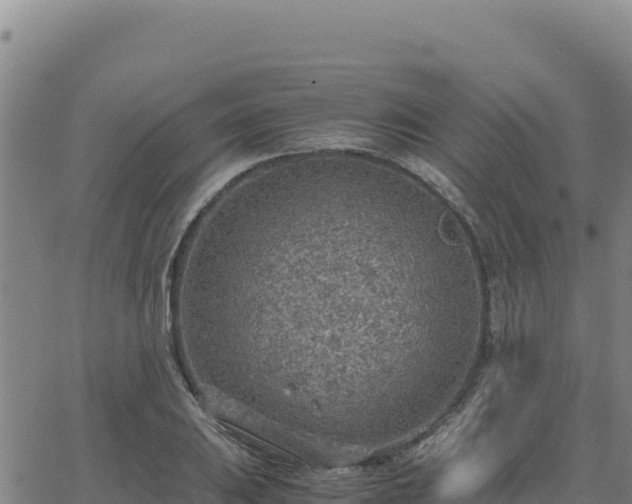 X0000063471031200601271624