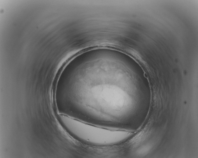 X0000063471032200601271624