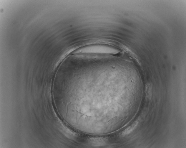 X0000063471033200601271624