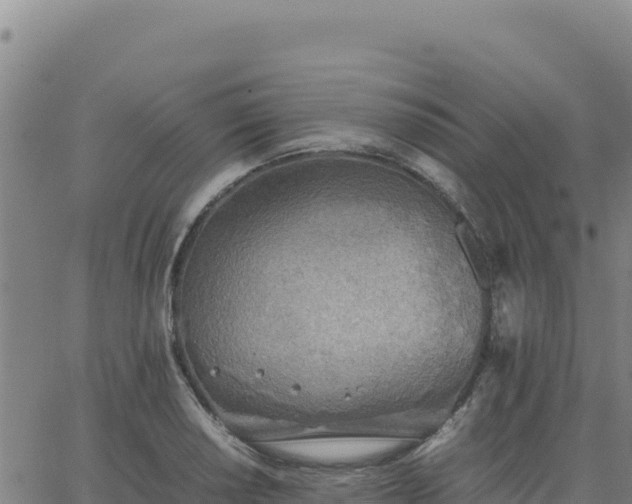 X0000063471034200601271624