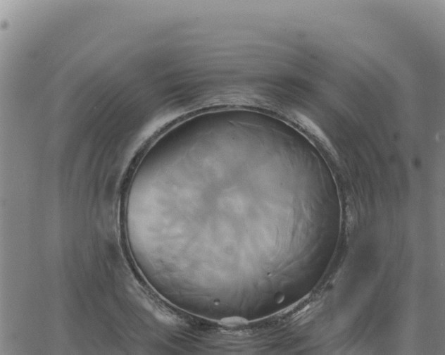 X0000063471035200601271624