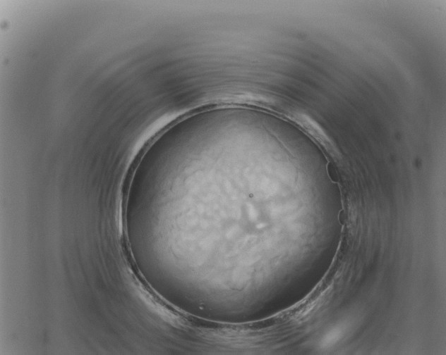 X0000063471036200601271624