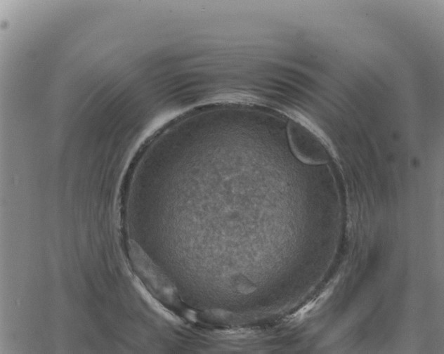 X0000063471037200601271624